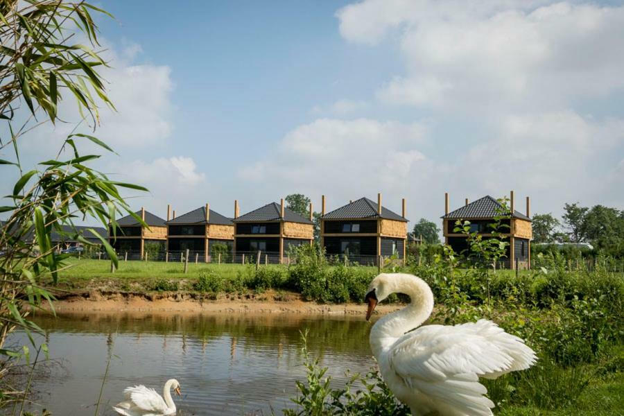 Camping Nieuw Romalo Фортайзен Екстериор снимка